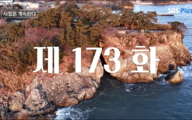 나솔사계 174회 여자 5호 삼각구도 총정리, 7기 영호 웃고 1기 영호 또 울었다