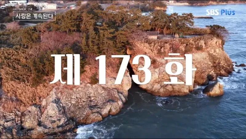 나솔사계 174회 여자 5호 삼각구도 총정리, 7기 영호 웃고 1기 영호 또 울었다