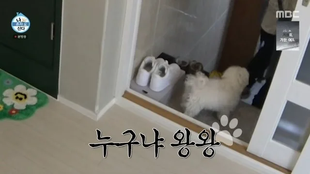 나혼산 이주승 코코 무지개다리 총정리 (7월 17일 방송·유골함 산책·꽃분이 서사)