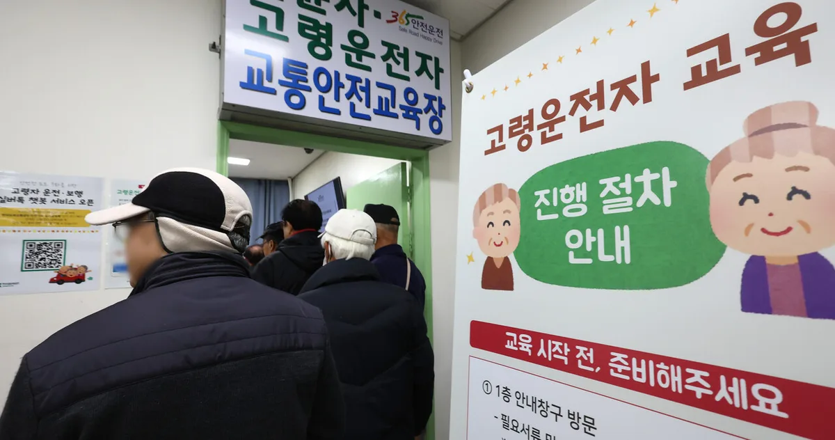 고령운전자 면허 반납 지원금 2026 총정리｜지역별 금액·신청방법·조건부 면허까지