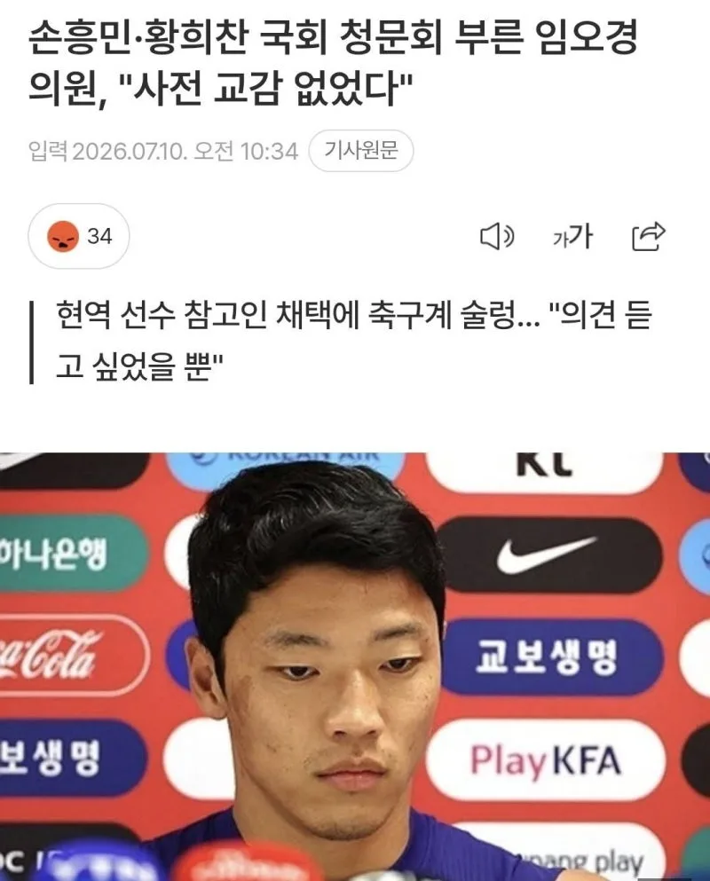 축구협회 청문회 30일 연기 총정리 — 손흥민·황희찬 참고인 철회부터 이천수 '5명' 발언까지