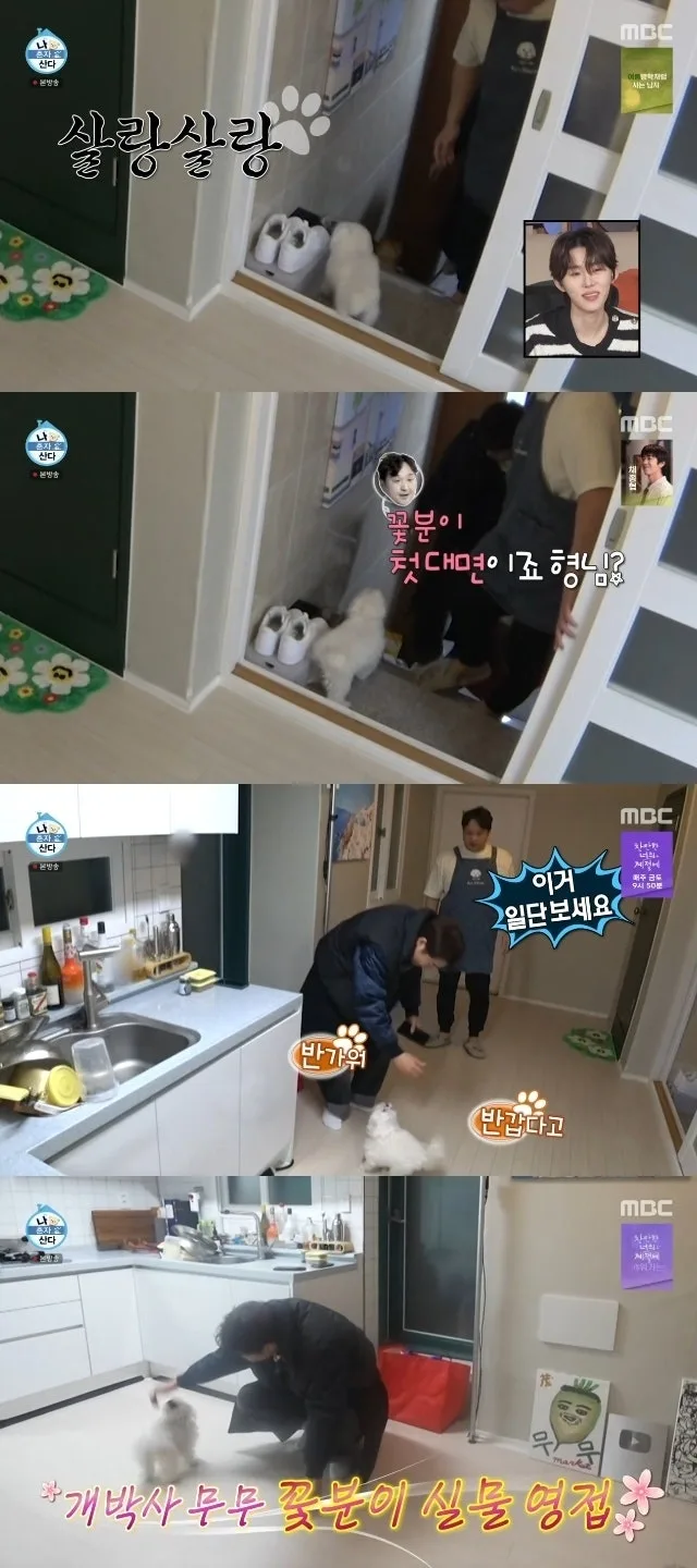 나혼산 이주승 코코 무지개다리 총정리 (7월 17일 방송·유골함 산책·꽃분이 서사)