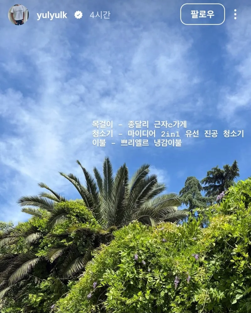 나 혼자 산다 유리 선글라스, 다이소 2000원 제품이 품절된 이유