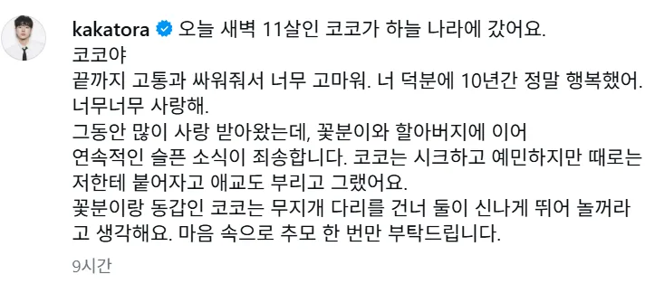 나혼산 이주승 코코 무지개다리 총정리 (7월 17일 방송·유골함 산책·꽃분이 서사)