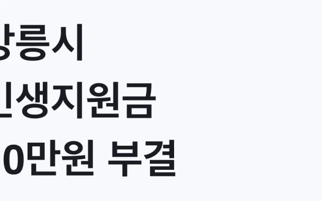 강릉시 민생지원금 10만원 부결, 나도 대상인가
