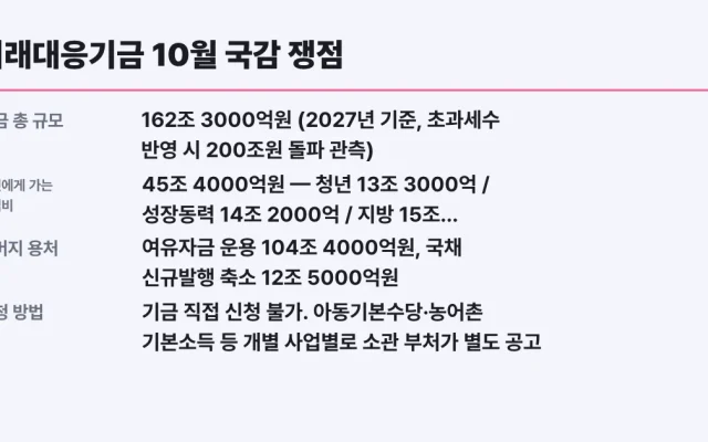 미래대응기금 10월 국감 쟁점, 내 지원금 대상 확인