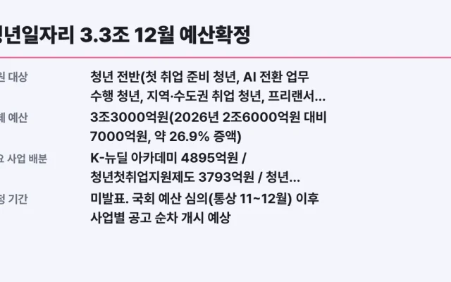 청년일자리 3.3조 12월 예산확정, 대상 확인