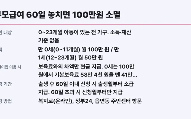 부모급여 60일 놓치면 100만원 소멸, 반려 사유 5가지