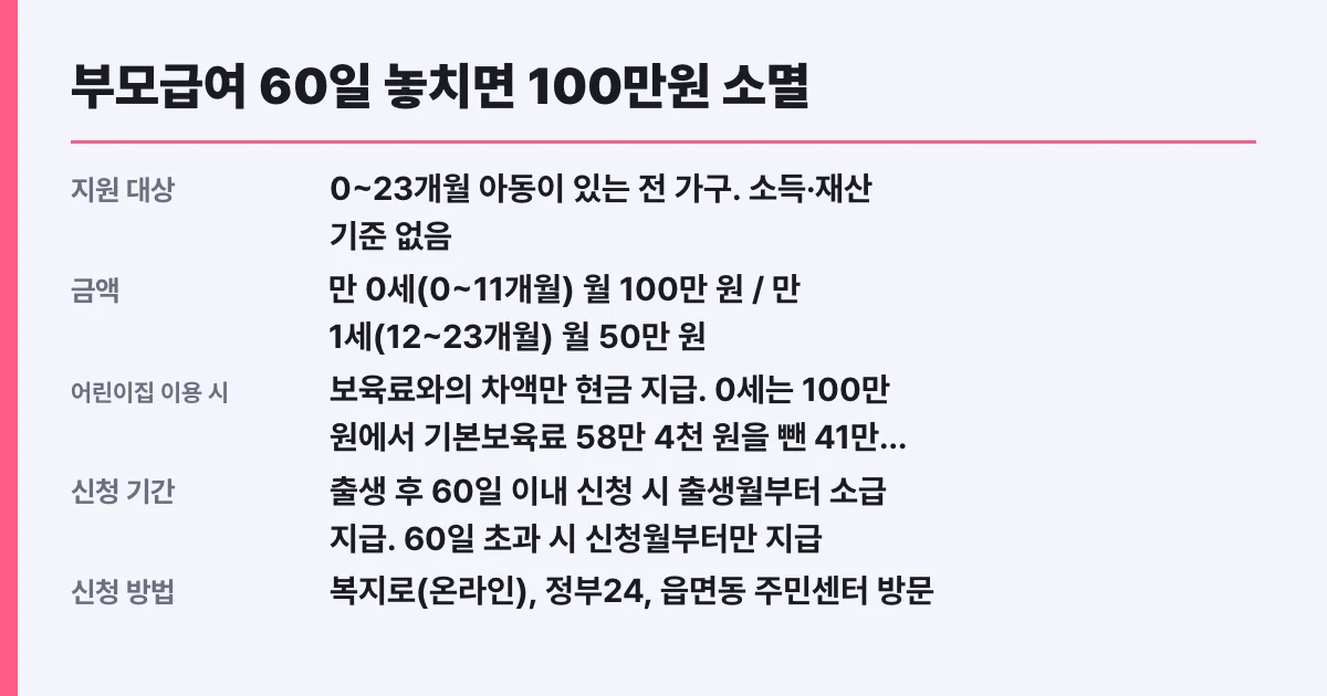 부모급여 60일 놓치면 100만원 소멸, 반려 사유 5가지